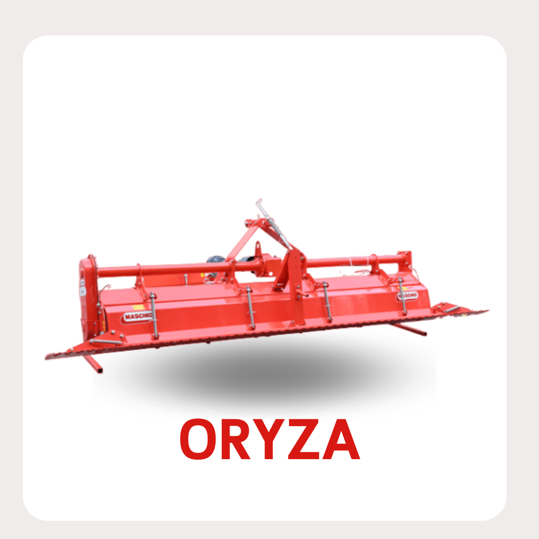 ORYZA